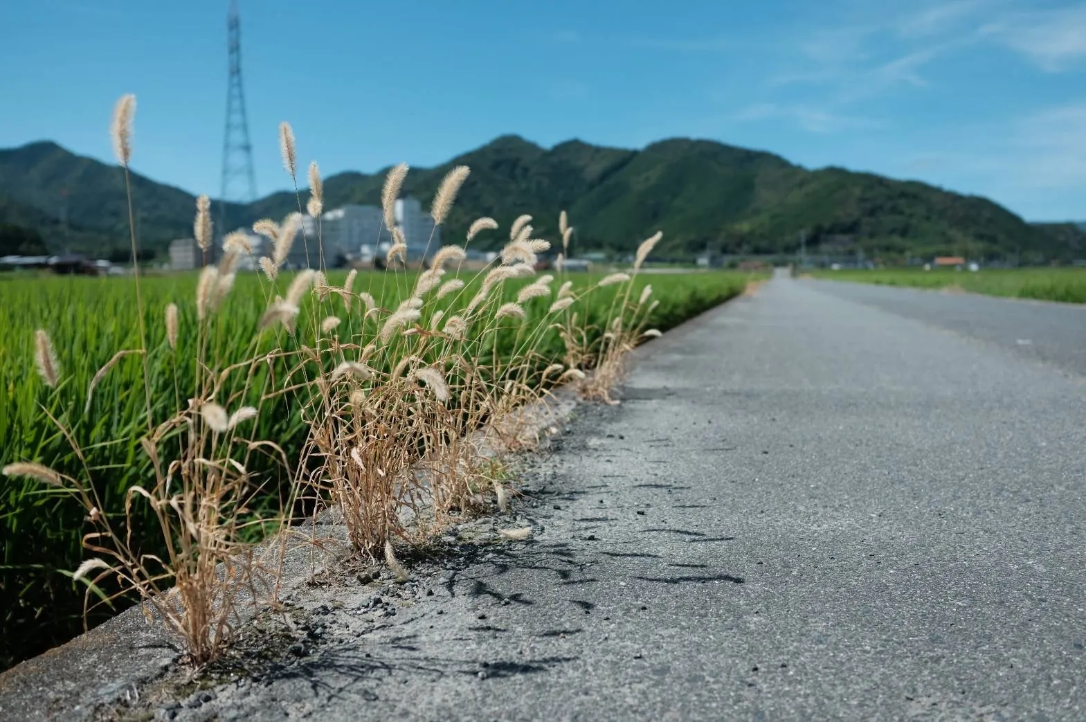 ますなが塗装店